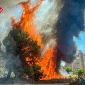 incendio benidorm armanello bomberos incendio benidorm armanello bomberos
