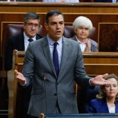 El presidente del Gobierno, Pedro Sánchez, en la sesión de control al Gobierno en el Congreso