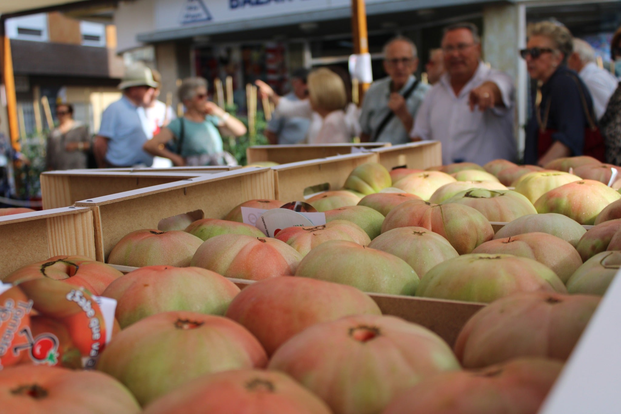 La Cooperativa Valenciana Unió Protectora de El Perelló organiza hoy la Subasta solidaria de Tomates La Cooperativa Valenciana Unió Protectora de El Perelló organiza hoy la Subasta solidaria de Tomates