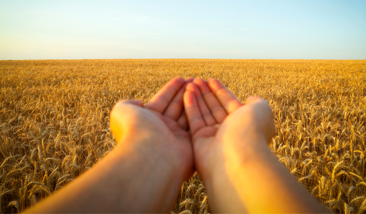 Los 7 mandamientos de la amabilidad Los 7 mandamientos de la amabilidad