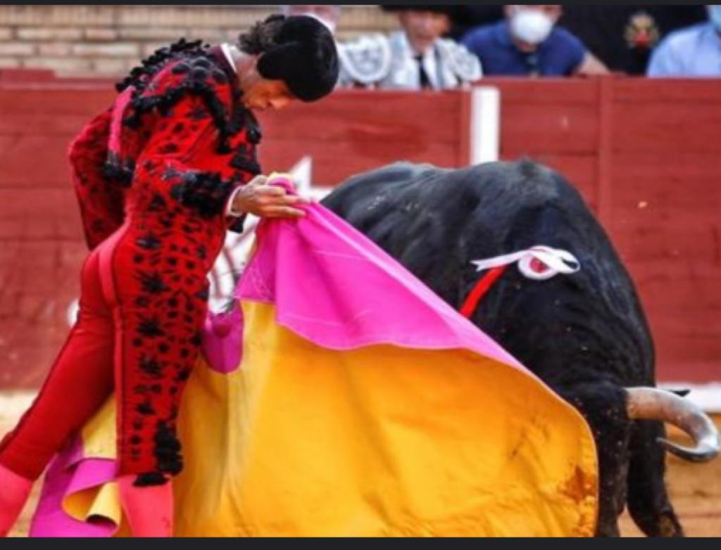 Finito de Córdoba vuelve a la feria de mayo de Córdoba Finito de Córdoba vuelve a la feria de mayo de Córdoba