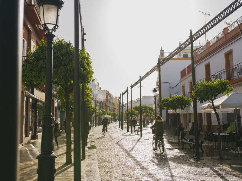 Los Palacios calcula pérdidas por valor de "ocho o nueve millones" de euros por el granizo en los cultivos Los Palacios calcula pérdidas por valor de "ocho o nueve millones" de euros por el granizo en los cultivos