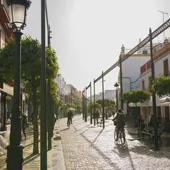 Los Palacios calcula pérdidas por valor de "ocho o nueve millones" de euros por el granizo en los cultivos Los Palacios calcula pérdidas por valor de "ocho o nueve millones" de euros por el granizo en los cultivos