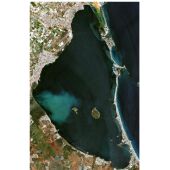El IEO avisa de la aparición en el Mar Menor de una gran mancha de color blanquecino-verdoso 