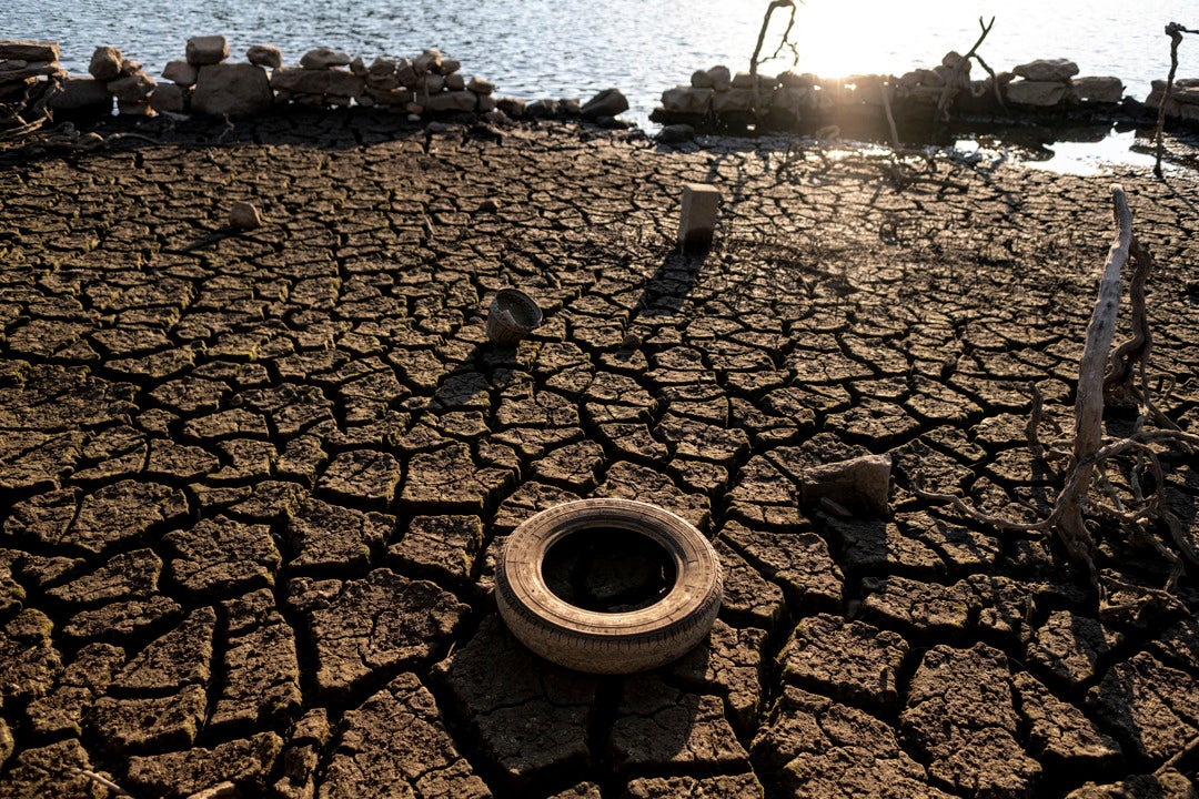 La sequía destrozará la economía mundial a largo plazo: pérdida de cosechas y repunte de enfermedades La sequía destrozará la economía mundial a largo plazo: pérdida de cosechas y repunte de enfermedades