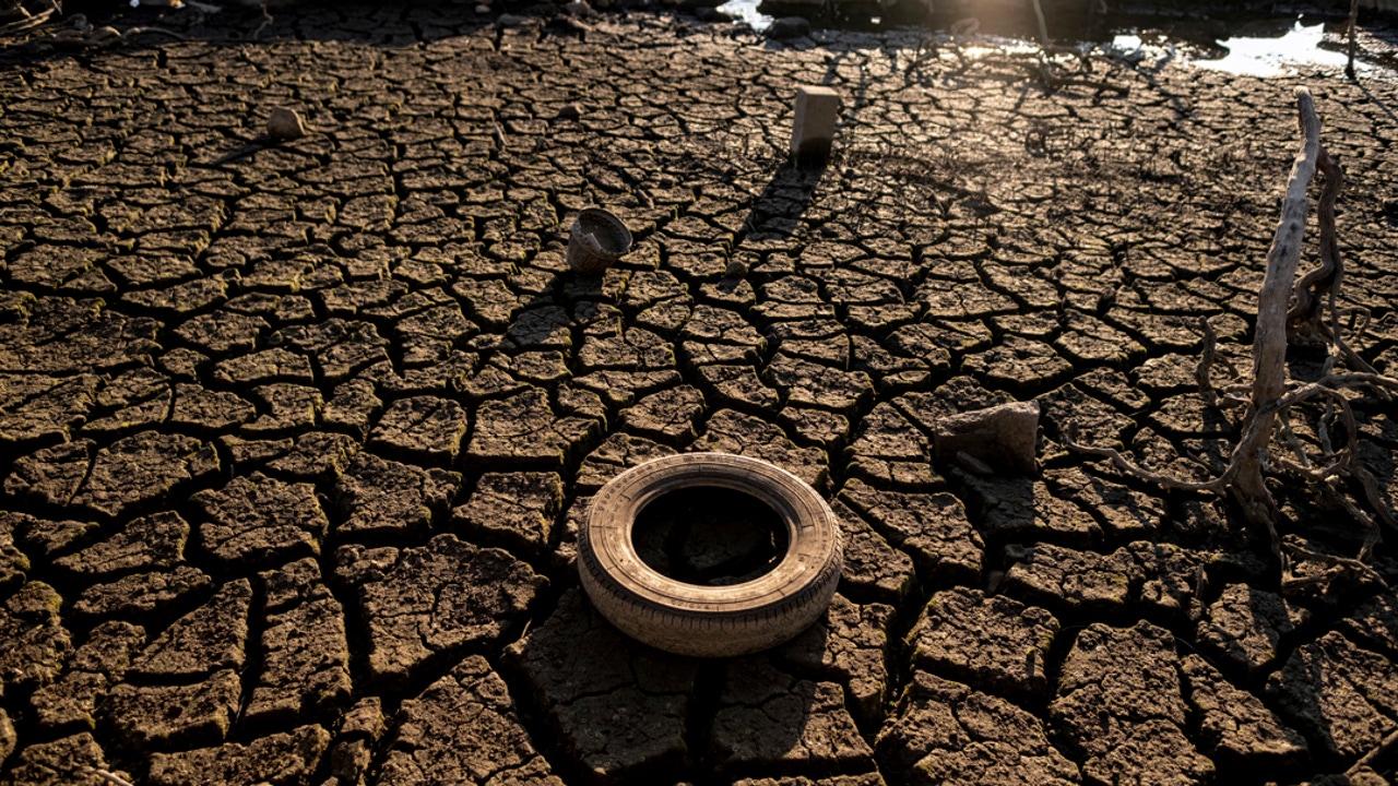 Drought can wreak havoc on the global economy in the long run: crop failure and disease resurgence