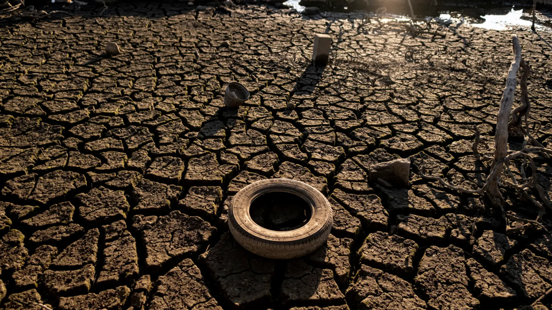 La sequía destrozará la economía mundial a largo plazo: pérdida de cosechas y repunte de enfermedades