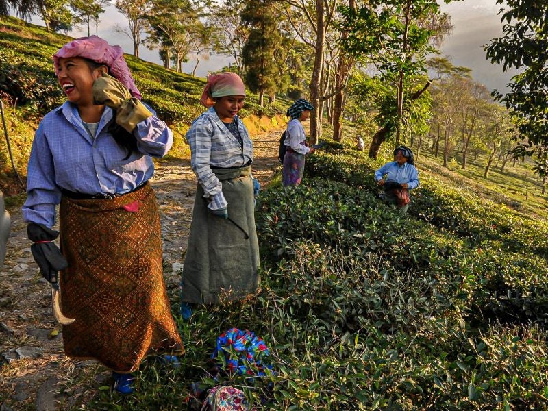 Contraparte - La rebelión del Comercio Justo Contraparte - La rebelión del Comercio Justo
