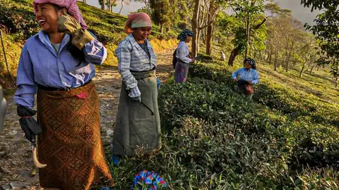 Mujeres de una cooperativa africana Contraparte
