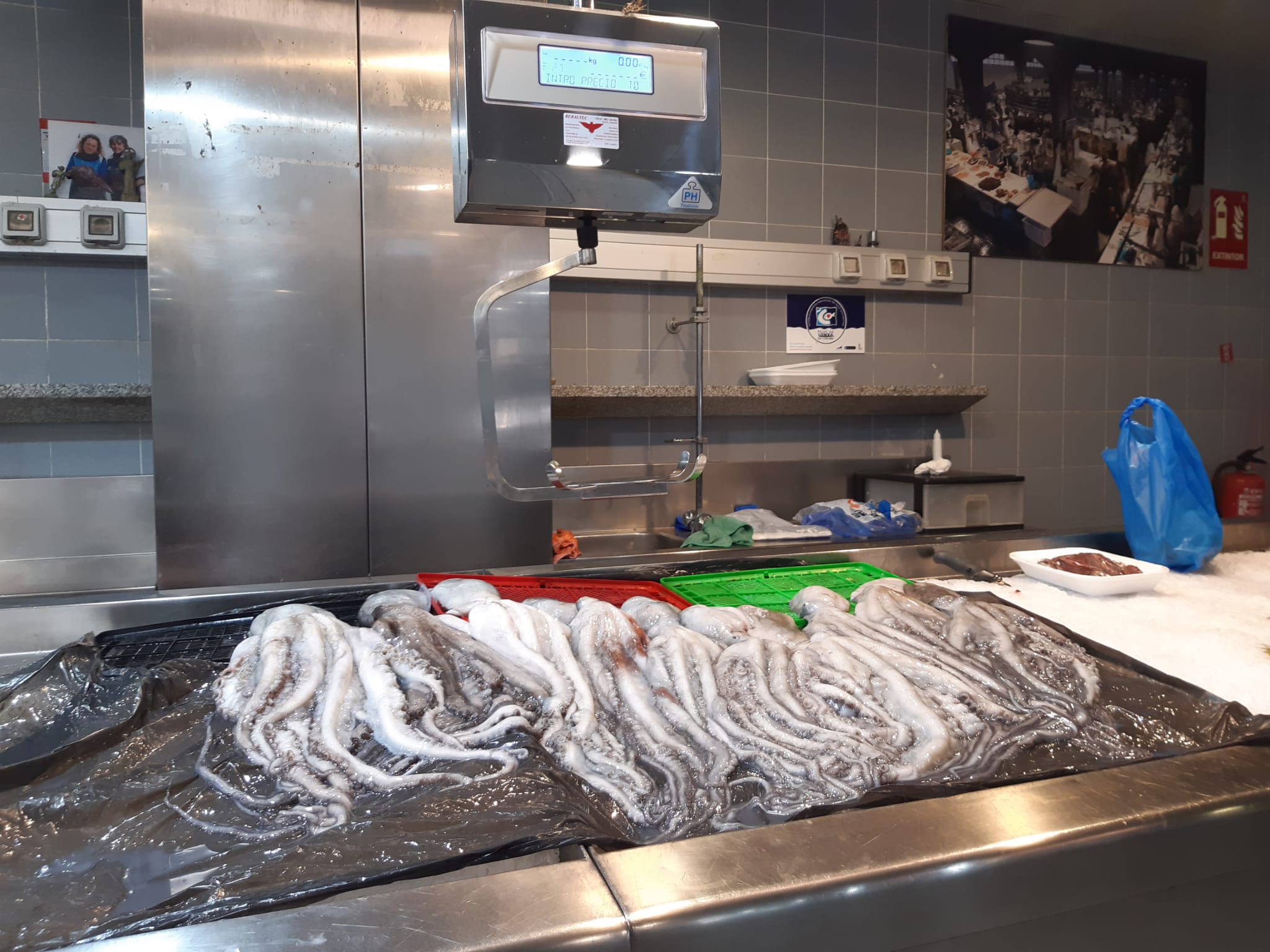 Comienza la veda del pulpo, pero sin tensión en la oferta, en la demanda ni en los precios, por la previsión de vendedores y consumidores Comienza la veda del pulpo, pero sin tensión en la oferta, en la demanda ni en los precios, por la previsión de vendedores y consumidores