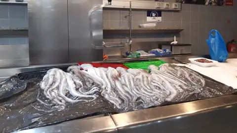 Pulpo en la Plaza de Lugo, en A Coruña Comienza la veda, del 20 de mayo al 4 de julio de 2023.