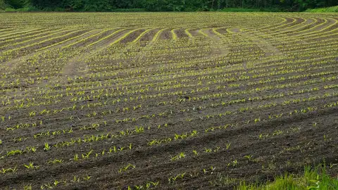 Noticias económica en Más de Uno Pontevedra Campo