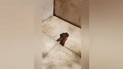 Vídeo realizado por la Asociación Laderas del Benacantil en Alicante con los efectos de las noches de botellón en el Casco Histórico de Alicante Vídeo realizado por la Asociación Laderas del Benacantil en Alicante con los efectos de las noches de botellón en el Casco Histórico de Alicante