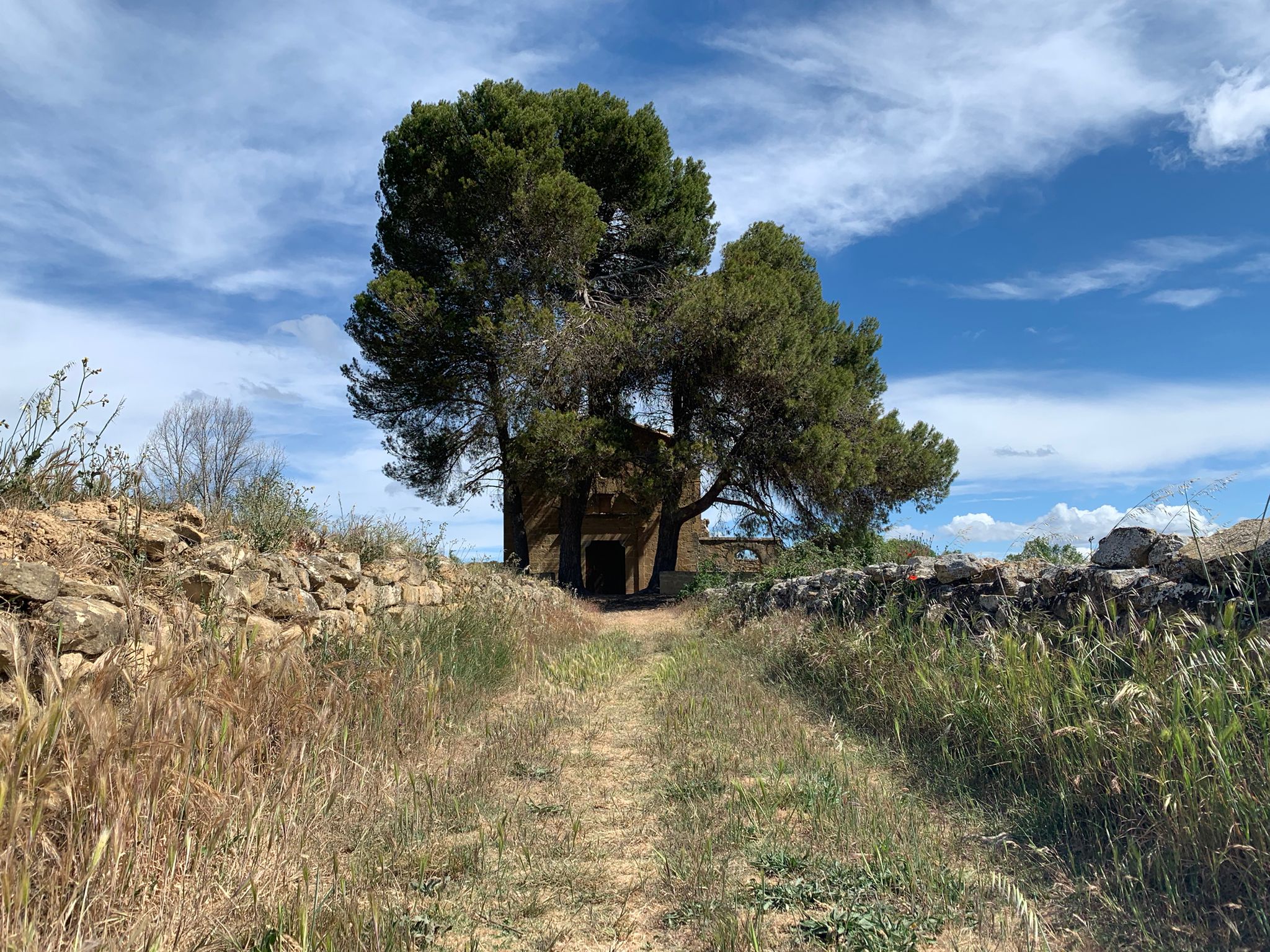 Las rutas senderistas, rutas mensuales para reencontrarse con la naturaleza Las rutas senderistas, rutas mensuales para reencontrarse con la naturaleza