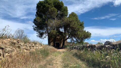 Paraje de la comarca de las Cinco Villas