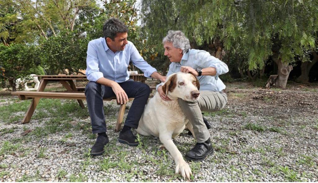 ¿Hay que sacar a los perros de paseo los días de lluvia? Raúl Mérida nos habla de las precauciones a tener en cuenta ¿Hay que sacar a los perros de paseo los días de lluvia? Raúl Mérida nos habla de las precauciones a tener en cuenta