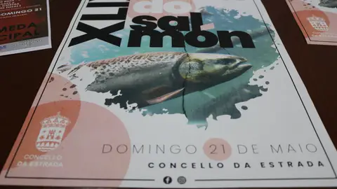 Cartel da Festa do Salmón 2023 XLIX Festa do Salmón en A Estrada