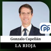 Gonzalo Capellán, catedrático de Historia, quiere devolver el Gobierno de La Rioja al PP