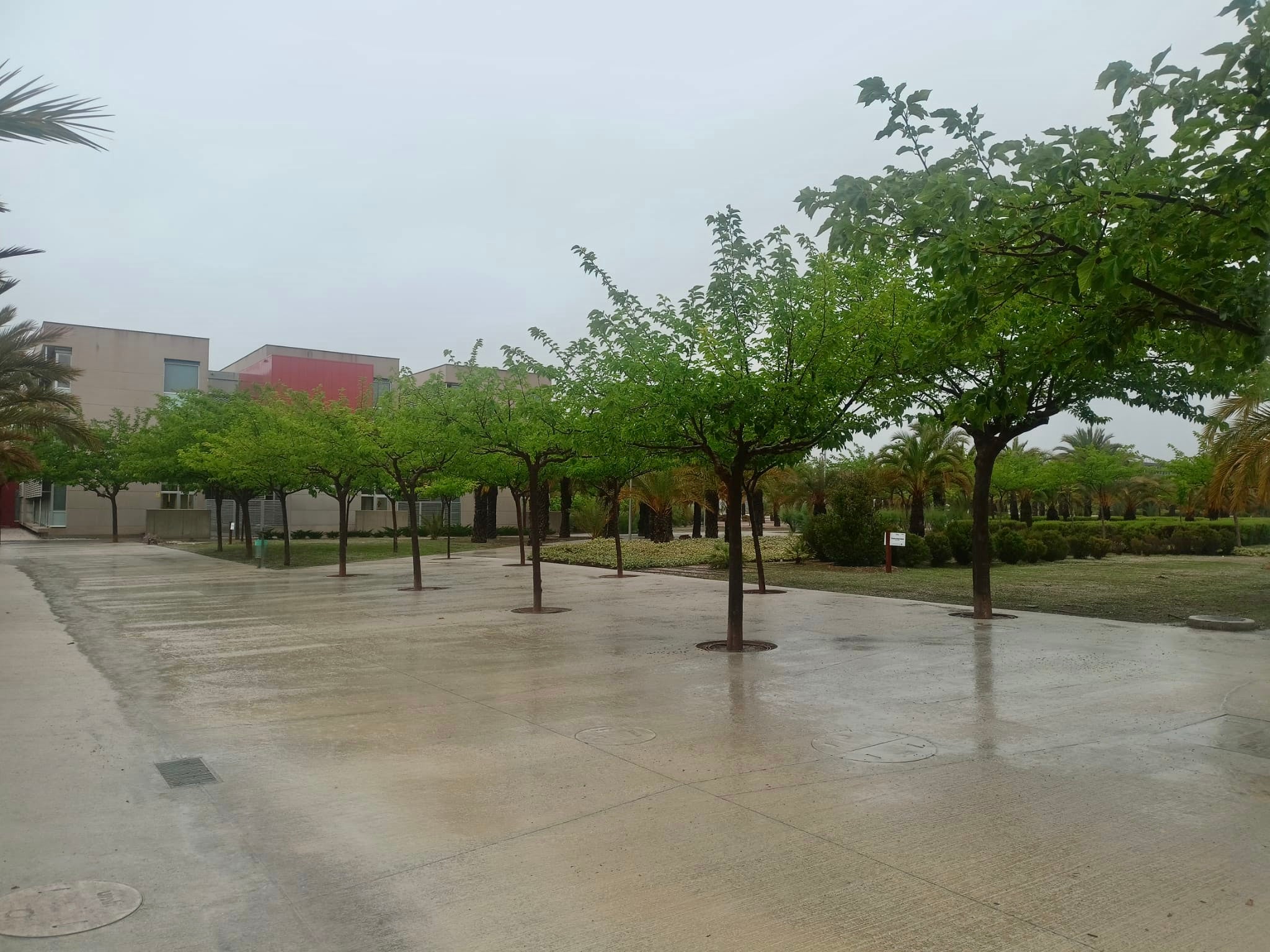 La UMH suspende las clases en Elche, Sant Joan y Orihuela para esta tarde La UMH suspende las clases en Elche, Sant Joan y Orihuela para esta tarde