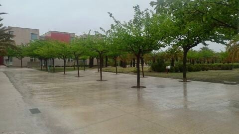 La UMH ha decidido suspender las clases en los campus de Elche, Sant Joan y Orihuela