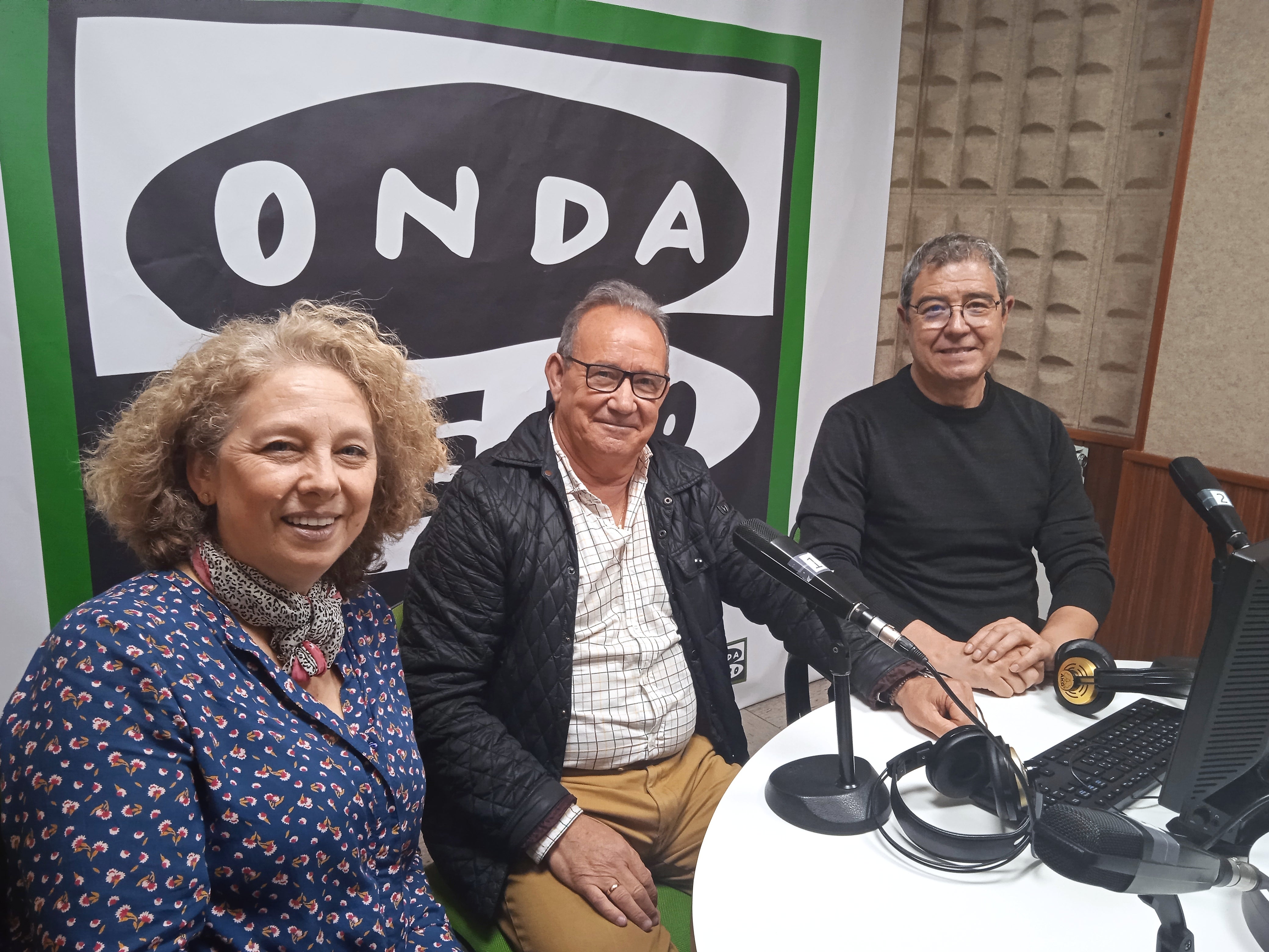 La bandurria viajera de Pedro Royo La bandurria viajera de Pedro Royo