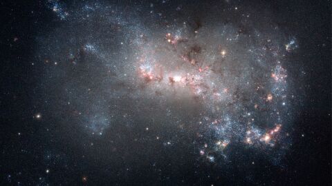 Galaxia NGC 4449