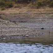 Los embalses de Andalucía continúan perdiendo agua pese a las últimas lluvias y caen hasta el 25,9% de su capacidad