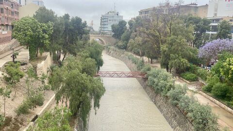 Ladera del r&iacute;o Vinalop&oacute; a su paso por Elche tras un episodio de lluvias intensas.