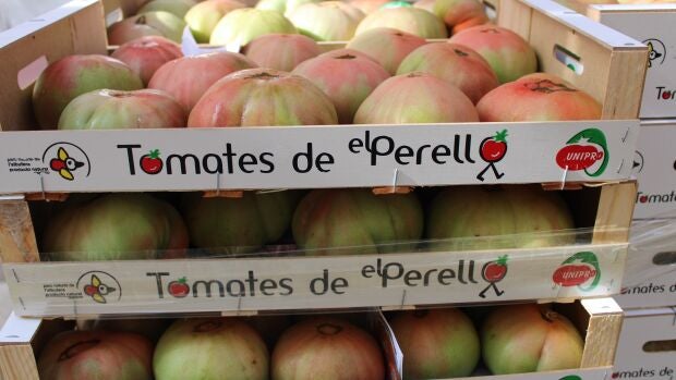 Tomate de El Perelló