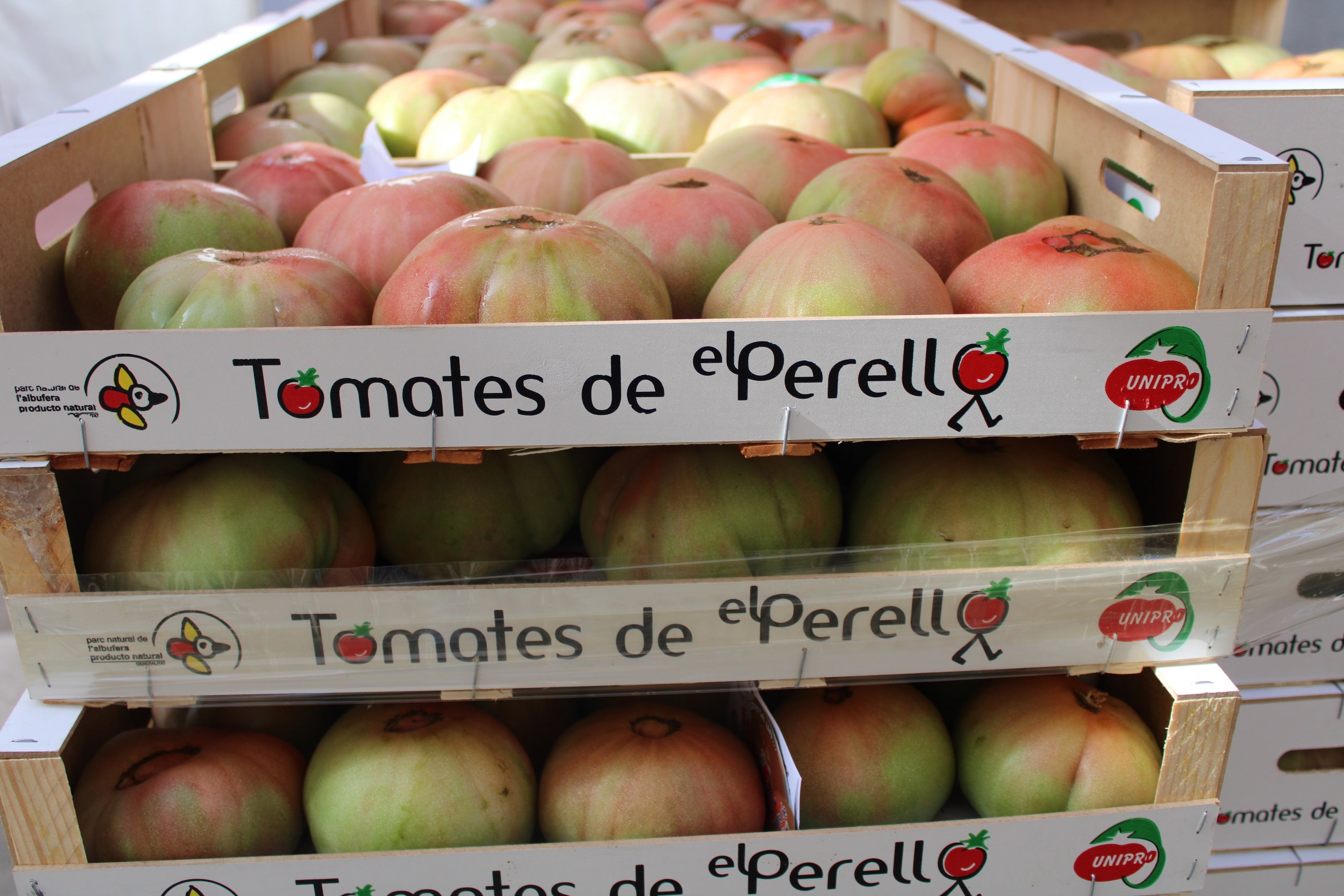 El Perelló celebra la Feria del Tomate episode artwork