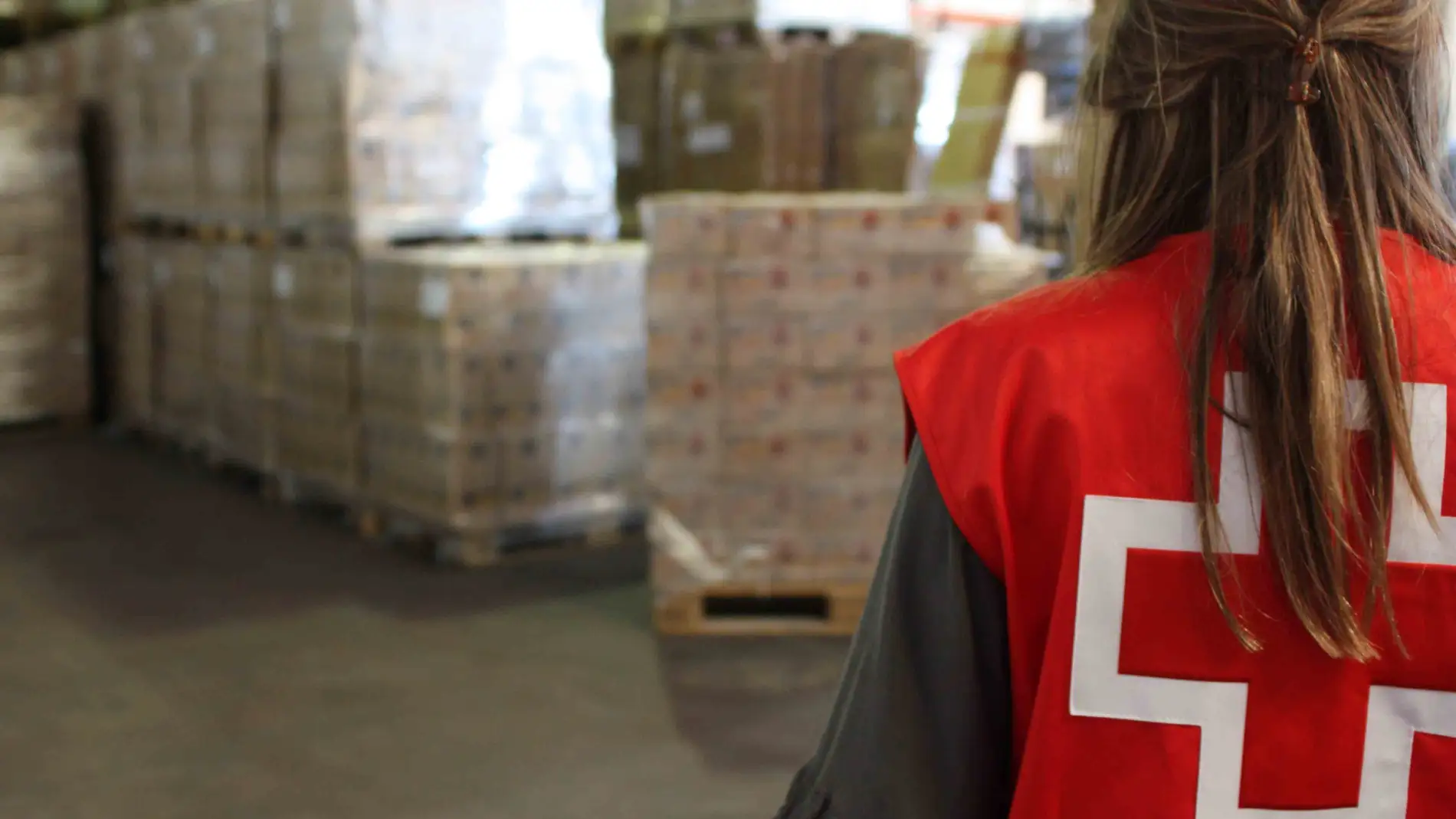 Cruz Roja repartirá cerca de 45.000 de kilos de alimentos en la provincia