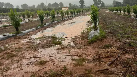 ava lluvias ava lluvias