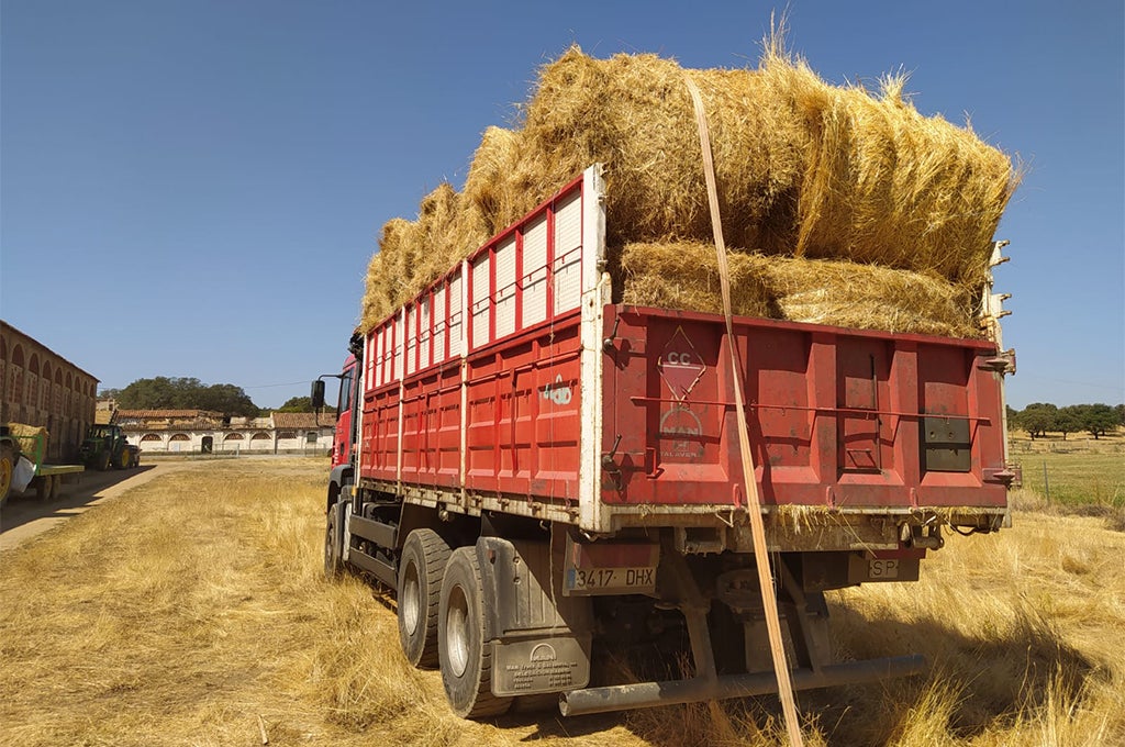 La Diputación de Cáceres repartirá esta semana pacas de heno entre los ganaderos de Las Hurdes y Sierra de Gata La Diputación de Cáceres repartirá esta semana pacas de heno entre los ganaderos de Las Hurdes y Sierra de Gata