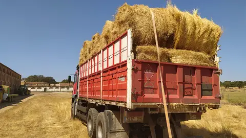 La Diputación de Cáceres repartirá esta semana pacas de heno entre los ganaderos de Las Hurdes y Sierra de Gata La Diputación de Cáceres repartirá esta semana pacas de heno entre los ganaderos de Las Hurdes y Sierra de Gata