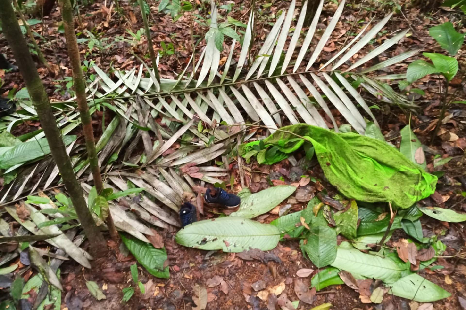 Militares colombianos hallan nuevos indicios de que los niños desaparecidos en Colombia pueden haber sobrevivido Militares colombianos hallan nuevos indicios de que los niños desaparecidos en Colombia pueden haber sobrevivido