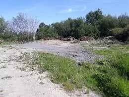 La Fiscalía investiga un vertedero en la turbera de Dueñas La Fiscalía investiga un vertedero en la turbera de Dueñas