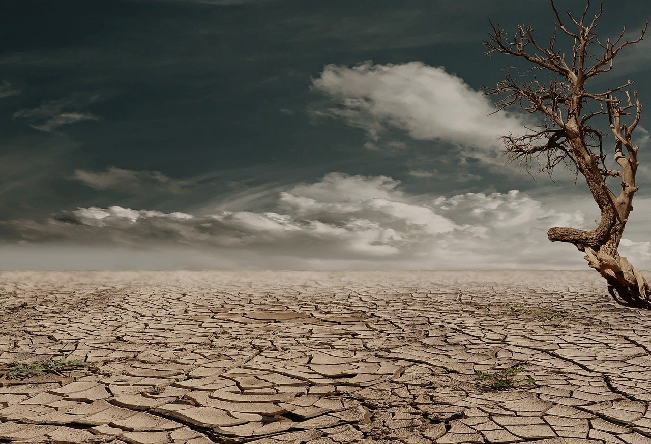 Qué dicen los programas de los candidatos sobre el cambio climático Qué dicen los programas de los candidatos sobre el cambio climático