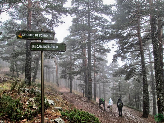 Rutas Ceneam- El Camino Schmid (II) Rutas Ceneam- El Camino Schmid (II)