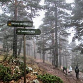 Rutas Ceneam