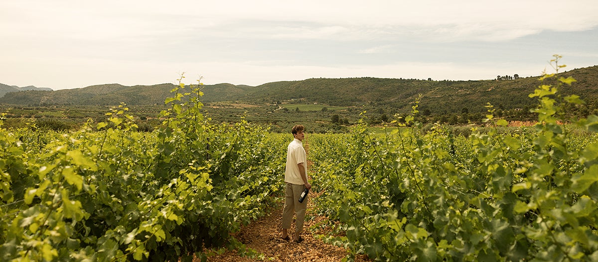 Vegamar también es la bodega valenciana con más medallas en el International Wine Challenge británico Vegamar también es la bodega valenciana con más medallas en el International Wine Challenge británico