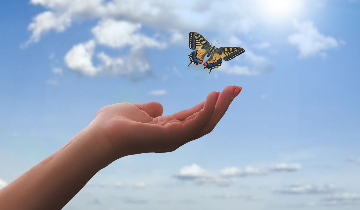 Que la empatía se vuelva el pan de cada día Que la empatía se vuelva el pan de cada día
