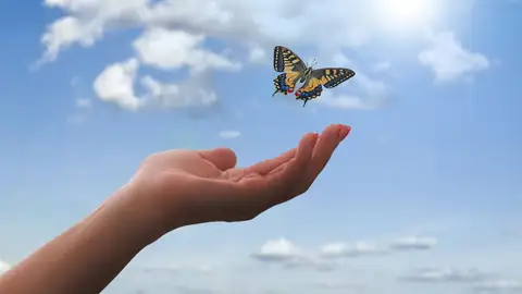 Empatía, capacidad de comprender y compartir los sentimientos de los demás Empatía, capacidad de comprender y compartir los sentimientos de los demás