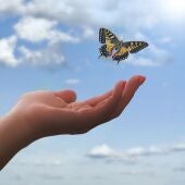 Empatía, capacidad de comprender y compartir los sentimientos de los demás
