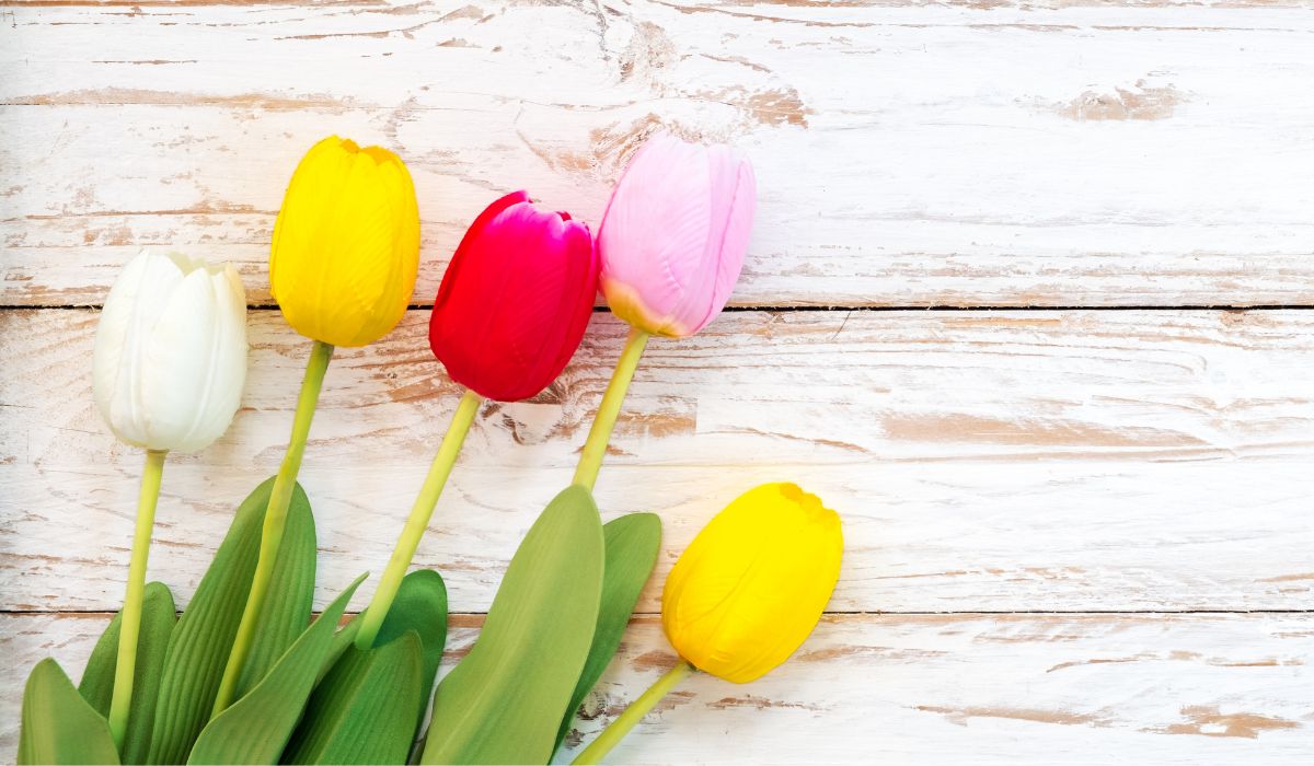 Mayo, un mes para cultivar la amabilidad Mayo, un mes para cultivar la amabilidad