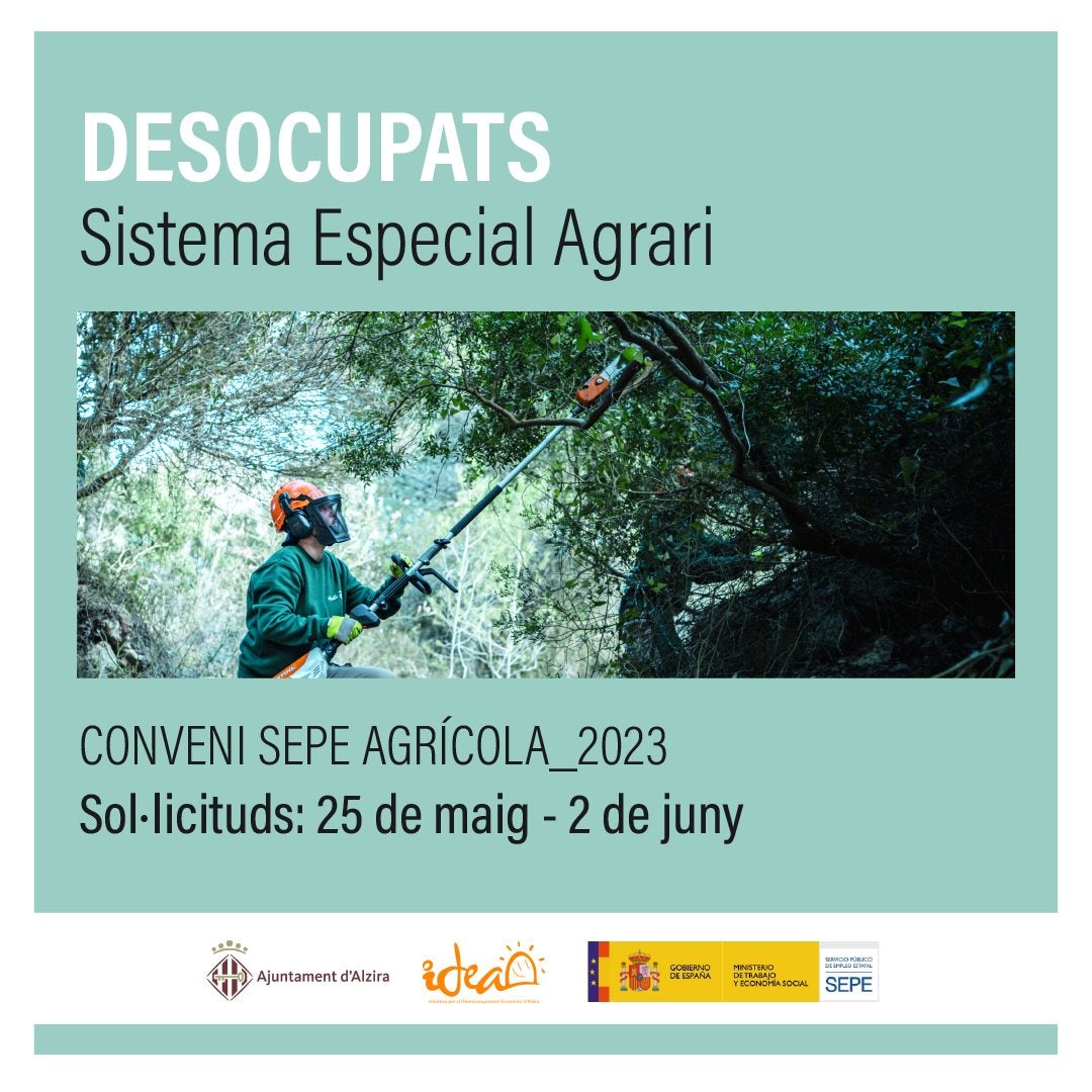 Alzira contratará a 58 trabajadores agrarios gracias a la subvención del SEPE Alzira contratará a 58 trabajadores agrarios gracias a la subvención del SEPE
