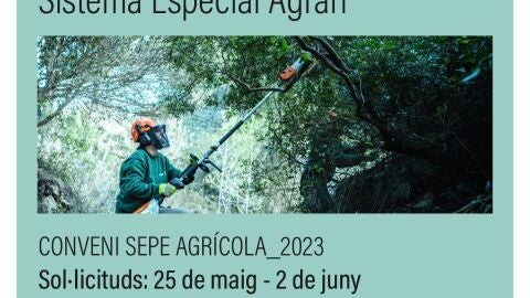 alzira sepe agrario