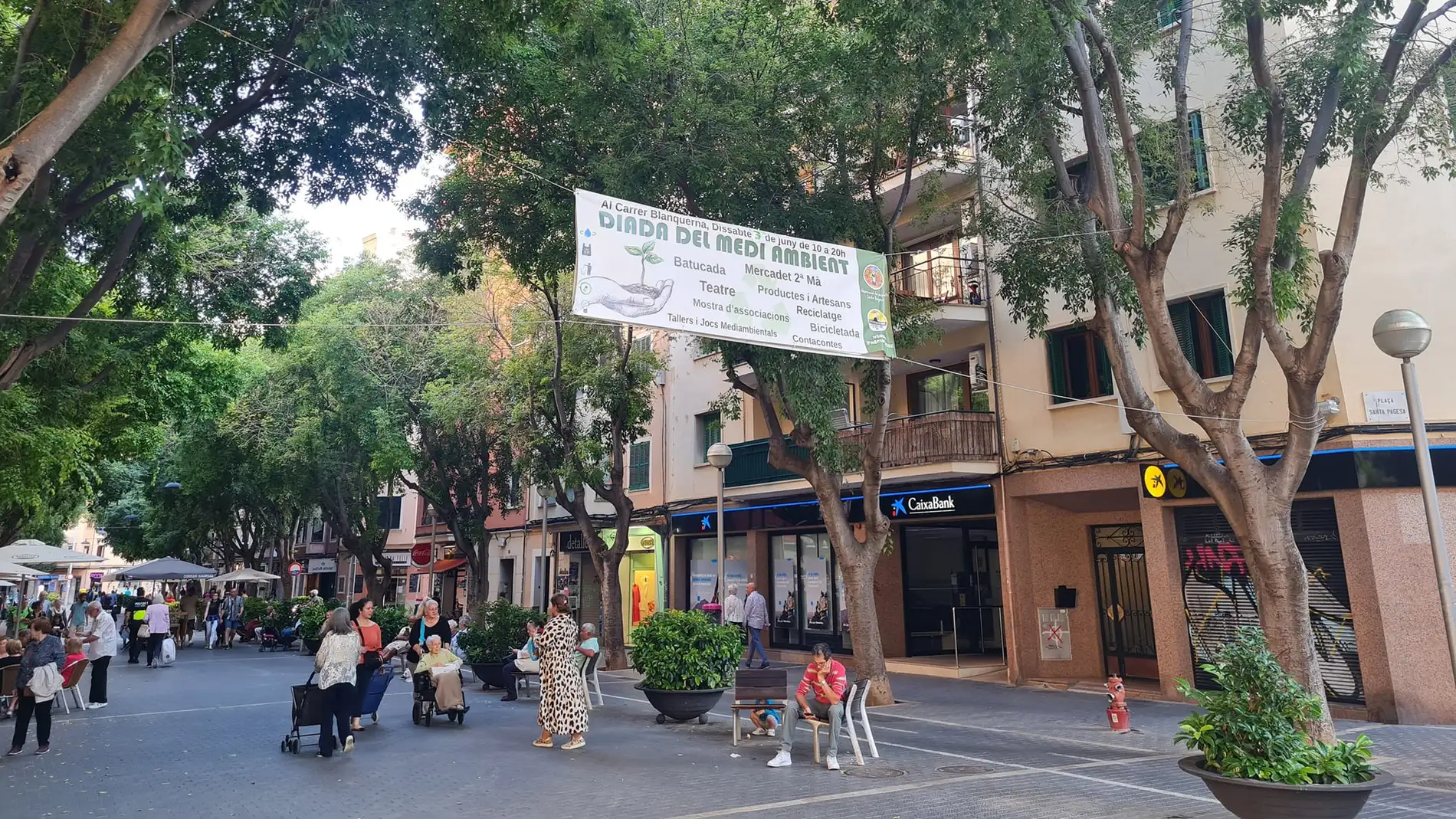 Preparativos de la Diada del Medio Ambiente que organiza la Associació Veïns Santa Pagesa en la calle Blanquerna y la plaza París de Palma