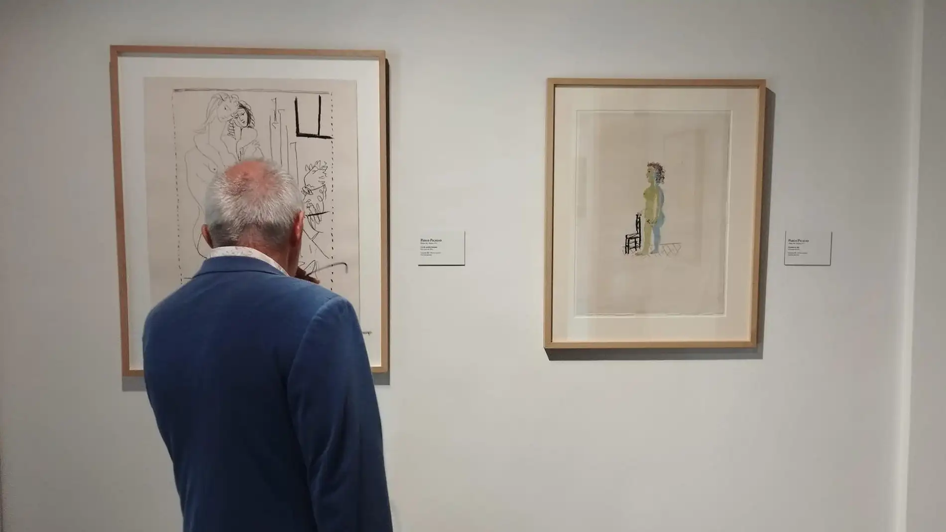 Imagen de la exposición sobre Picasso en el Bellas Artes de Asturias. - EUROPA PRESS.