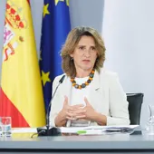 Ribera descarta comparecer por Doñana y propone a PP y Vox ceder su puesto a Delibes: "Seguro que aprenden más" Ribera descarta comparecer por Doñana y propone a PP y Vox ceder su puesto a Delibes: "Seguro que aprenden más"
