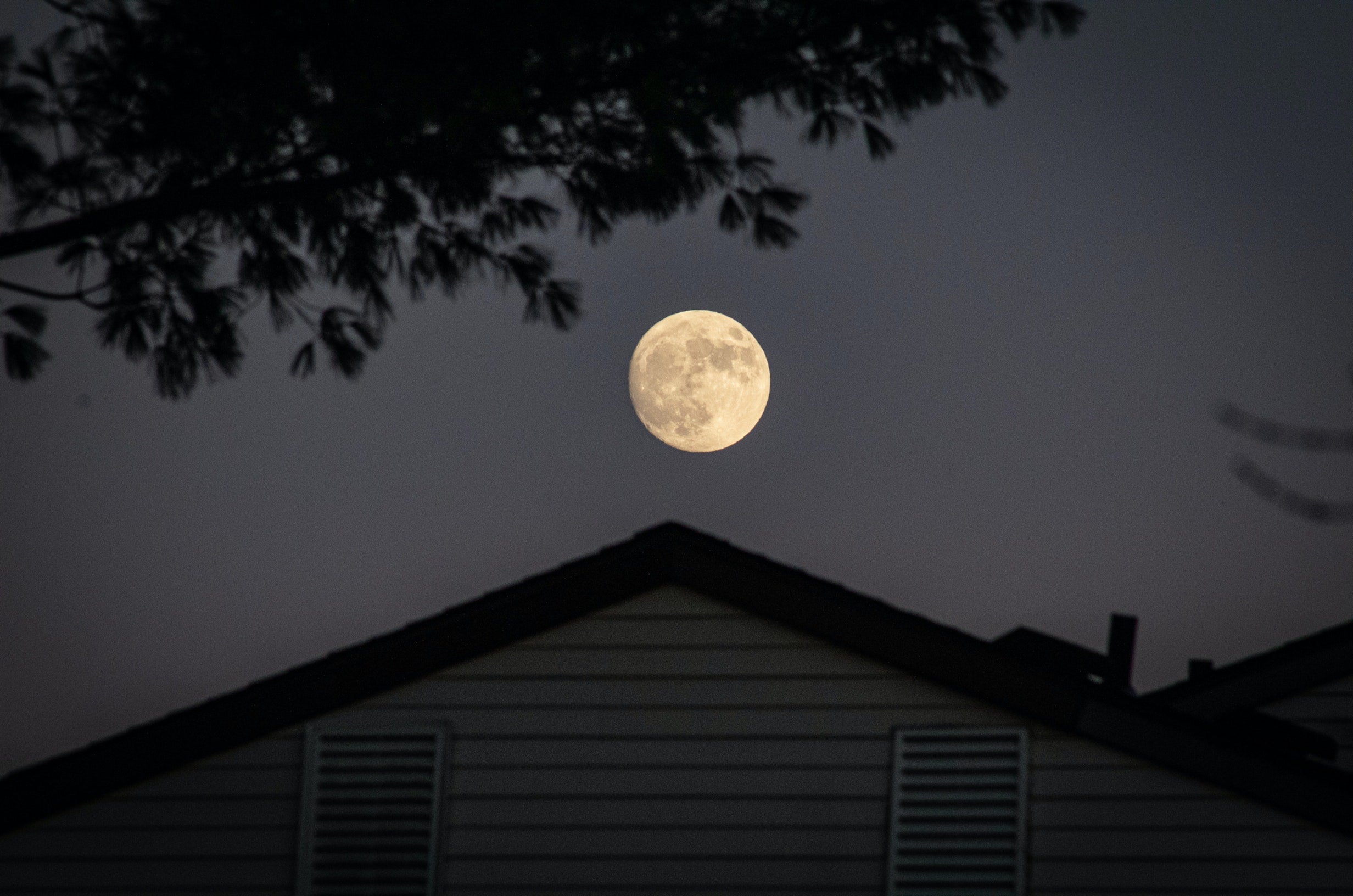 Cuándo es la luna llena de mayo 2024: qué es la 'La luna de las flores' y cuál es el origen de su nombre Cuándo es la luna llena de mayo 2024: qué es la 'La luna de las flores' y cuál es el origen de su nombre